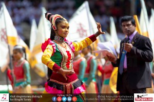 12010549_10154299770339251_3228727800550526129_o